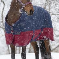 EQUI THEME TYREX 1200D 450G WINTER TURNOUT RUG