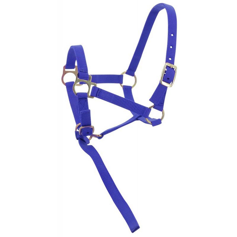 ADJUSTABLE HALTER FOR COLT AND FOAL COMPLETE WITH SMALL ROPE - MySelleria